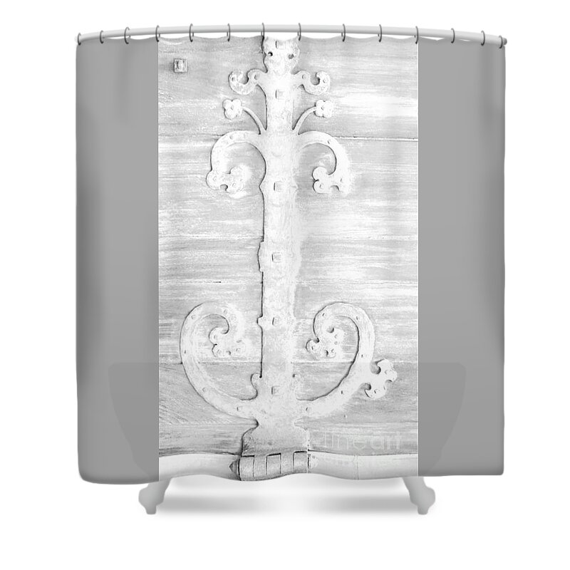 Hinge Shower Curtain featuring the photograph Hinged1 by Merle Grenz