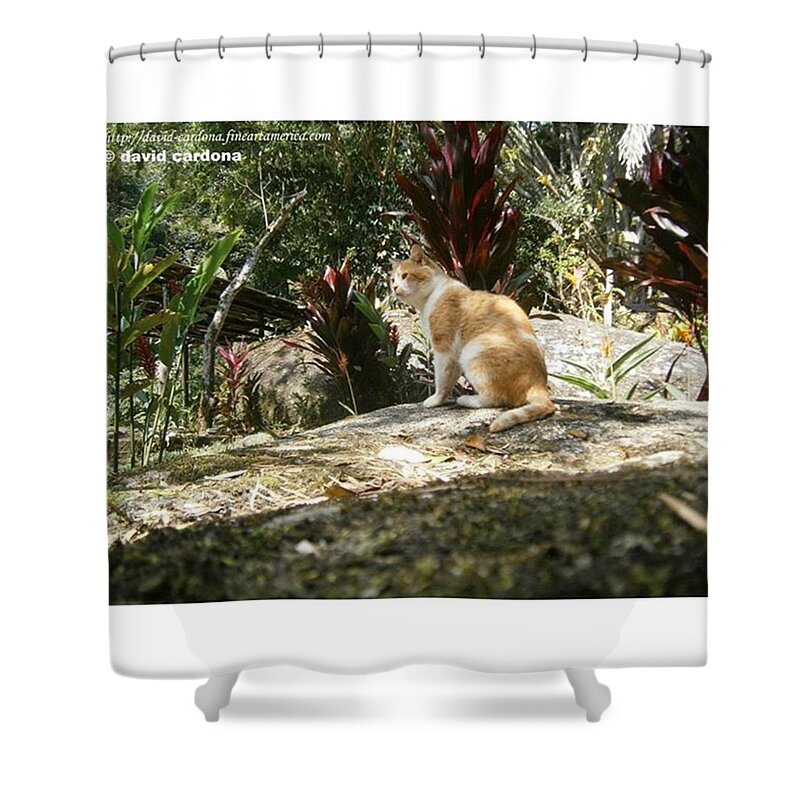 Colors Shower Curtain featuring the photograph His Peaceful Kingdom by David Cardona