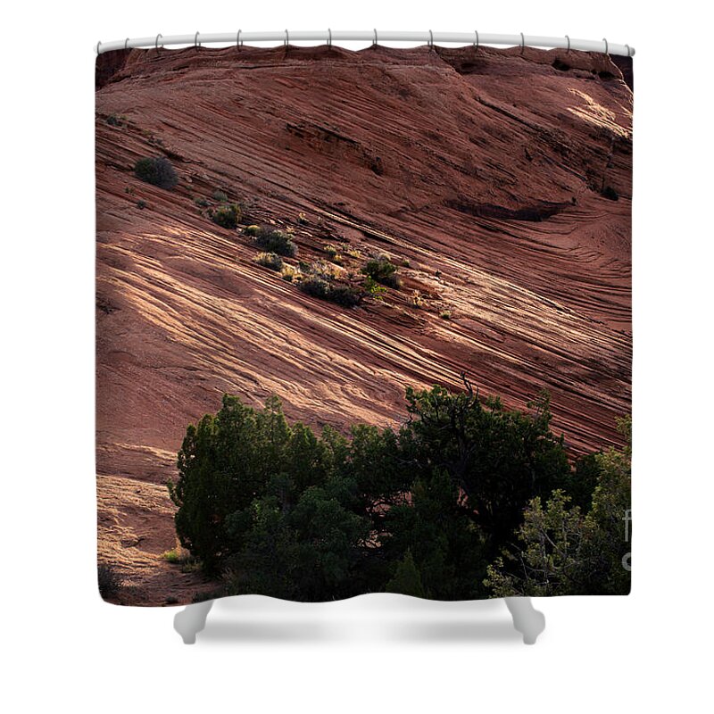 Utah Shower Curtain featuring the photograph Splashes of Sunlight by Jim Garrison