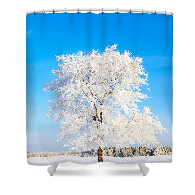 Hoar Frost Shower Curtain featuring the photograph Hoar Frost by Nebojsa Novakovic