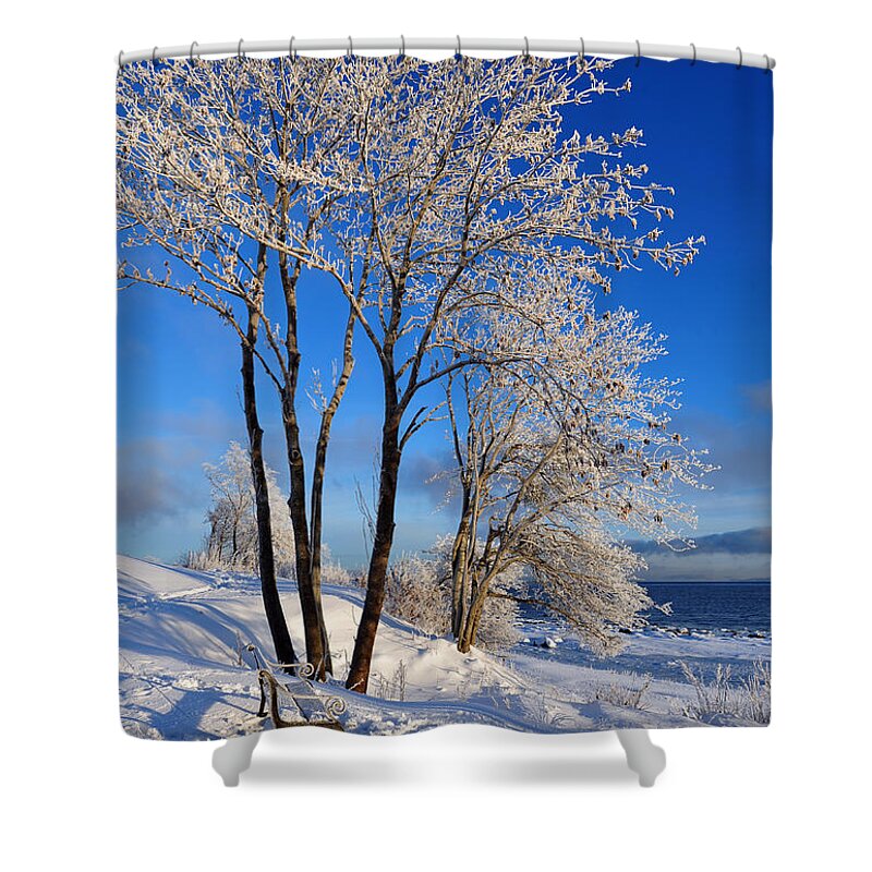 Norway Shower Curtain featuring the photograph Hoarfrost by Randi Grace Nilsberg