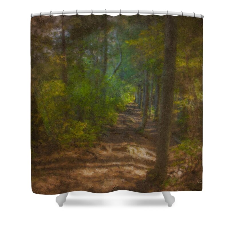 Jrr Tolkien Shower Curtain featuring the painting Hobbit Path by Bill McEntee