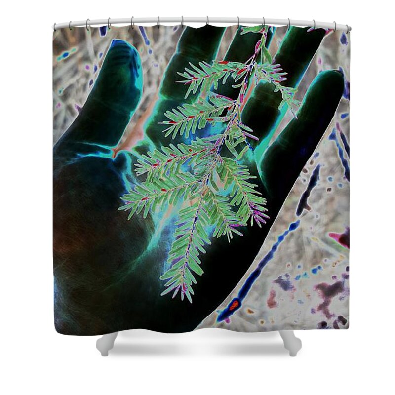 Nature Shower Curtain featuring the photograph Holding Hands by Dani McEvoy
