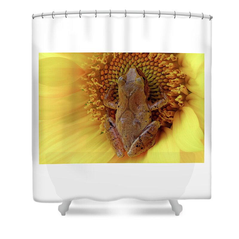 Summertime Shower Curtain featuring the photograph Holding On To Summer by Karen Wiles