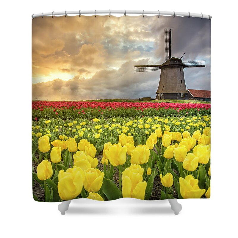 Windmill Shower Curtain featuring the photograph Holland windmill by Stefano Termanini