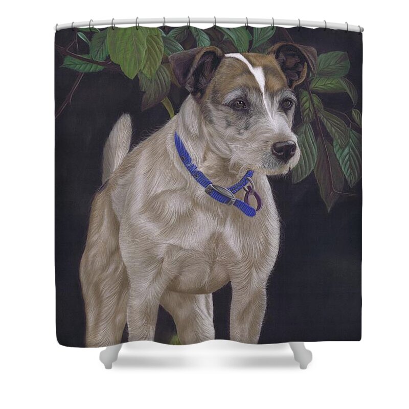 Terrier Shower Curtain featuring the painting Holly by Karie-ann Cooper