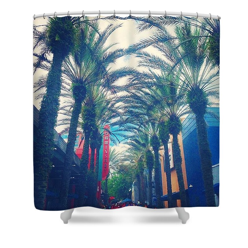 Palms Shower Curtain featuring the photograph Hollywood Studios by Kate Arsenault 