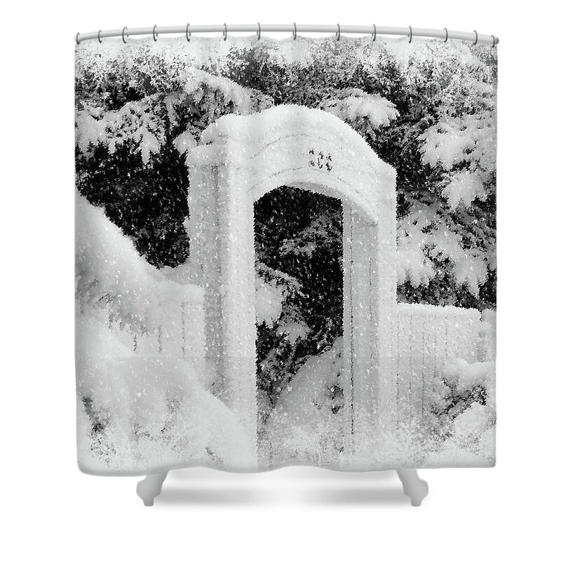 Winter Shower Curtain featuring the photograph Home for Christmas by Blair Wainman