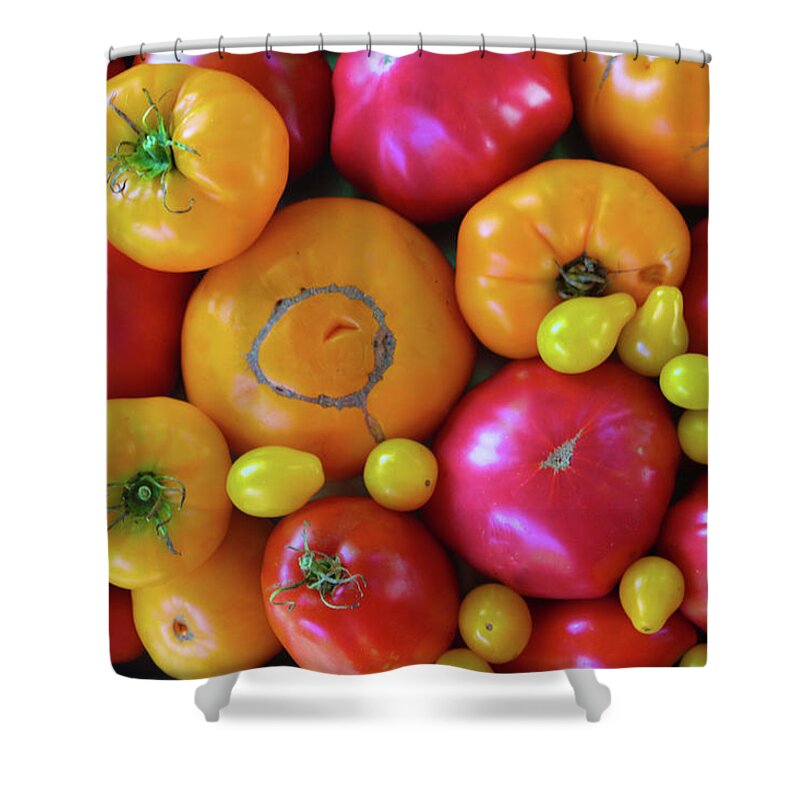 Heirloom Tomatoes Shower Curtain featuring the photograph Homegrown Heirloom Tomatoes by Polly Castor