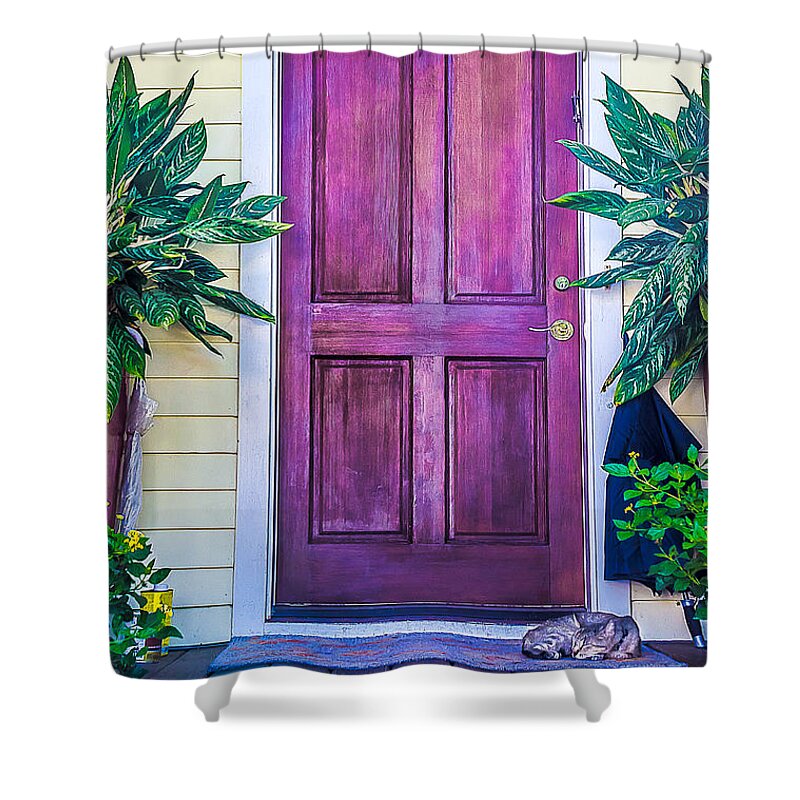 Home Shower Curtain featuring the photograph Homes of Key West 11 by Julie Palencia