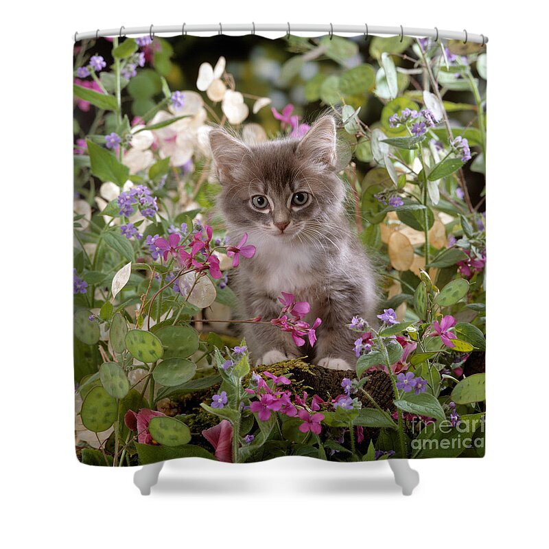 Fluffy Shower Curtain featuring the photograph Honesty is my Name by Warren Photographic