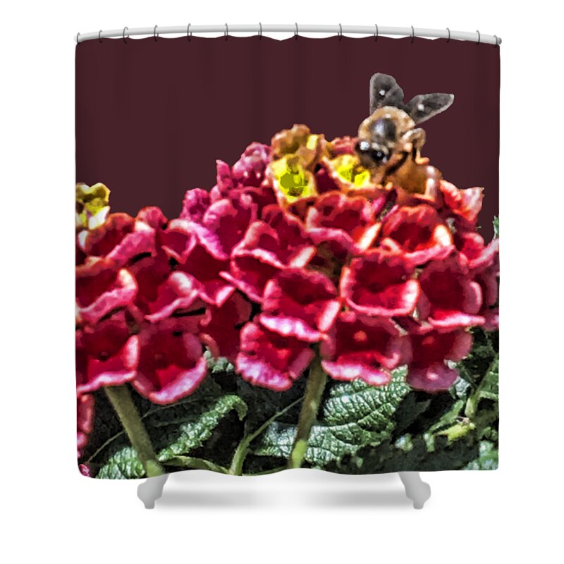 Honey Bee On Flower Shower Curtain featuring the photograph Honey Bee on Flower by Daniel Hebard