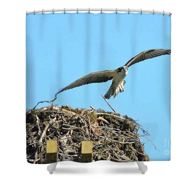 Fly Shower Curtain featuring the photograph Honey I'm Home by Vivian Martin