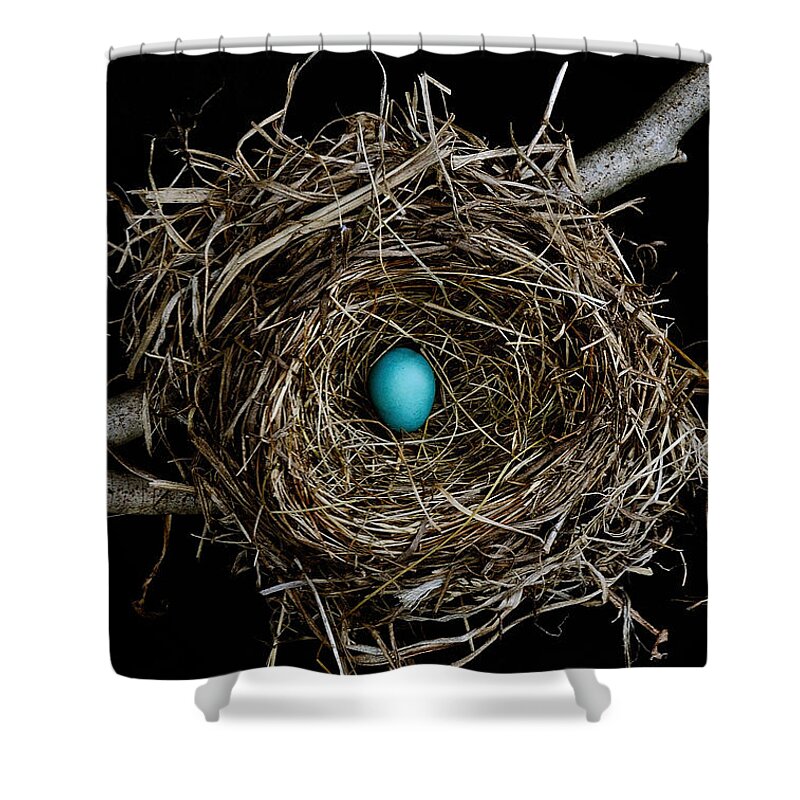 Bird Shower Curtain featuring the photograph Hope 1 by Mark Fuller