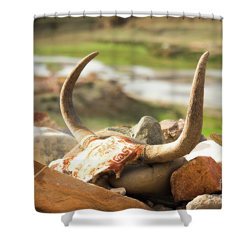 Tibet Shower Curtain featuring the photograph Horn and valley Tibet Yantra.lv by Raimond Klavins