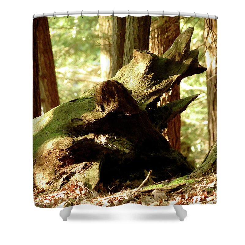 Landscape Shower Curtain featuring the photograph Horned Tree by Azthet Photography