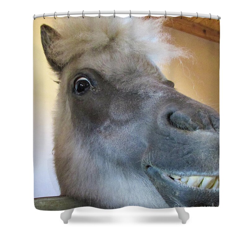 Horse Shower Curtain featuring the photograph Horse 11 by Christy Garavetto