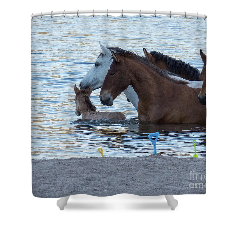 Horse Shower Curtain featuring the photograph Horse 6 by Christy Garavetto