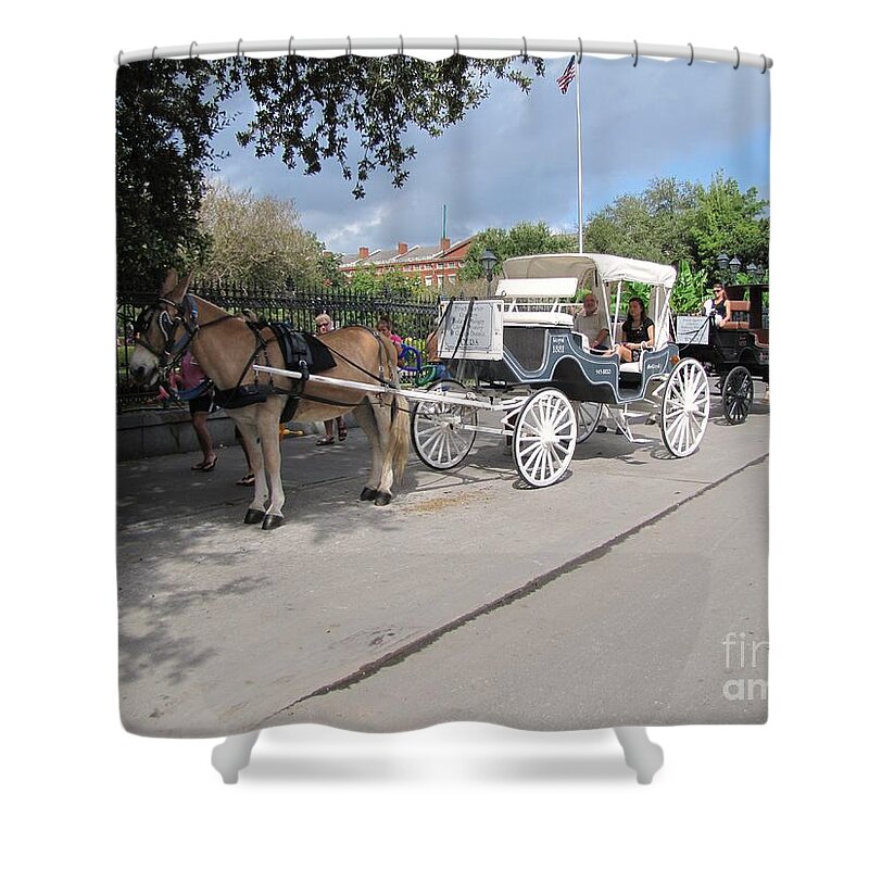 Buggy Rides Shower Curtain featuring the photograph Horse and buggy by Michelle Powell