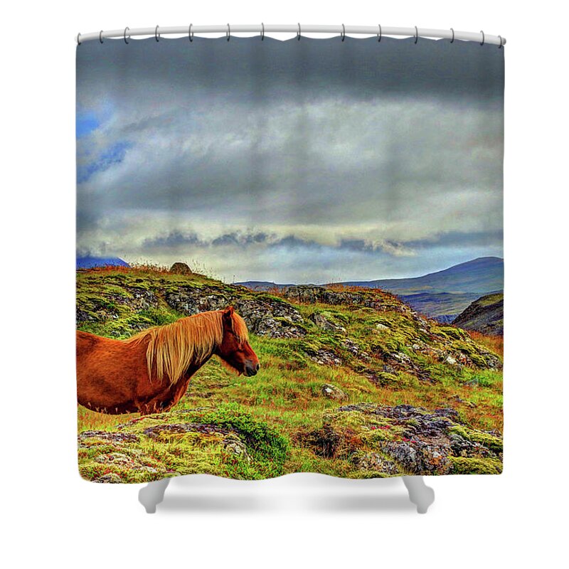 Photography Shower Curtain featuring the photograph Horse and Mountains by Scott Mahon