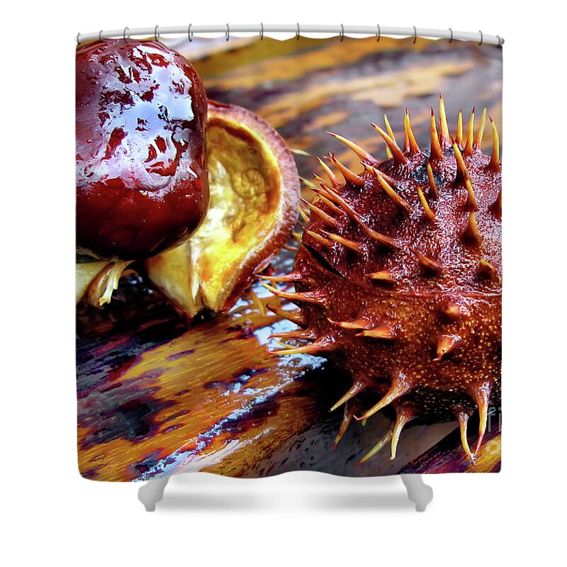 Autumn Shower Curtain featuring the photograph Horse Chestnut Aesculus by Daliana Pacuraru