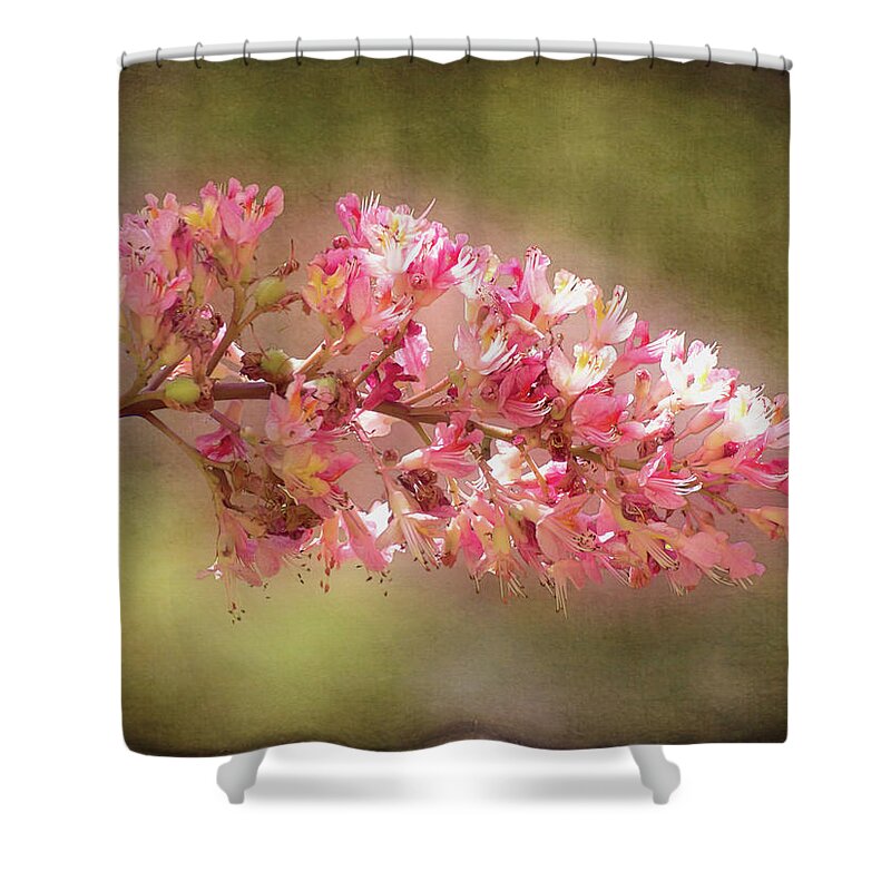 Chestnut Shower Curtain featuring the photograph Horse Chestnut Branch by Leslie Montgomery