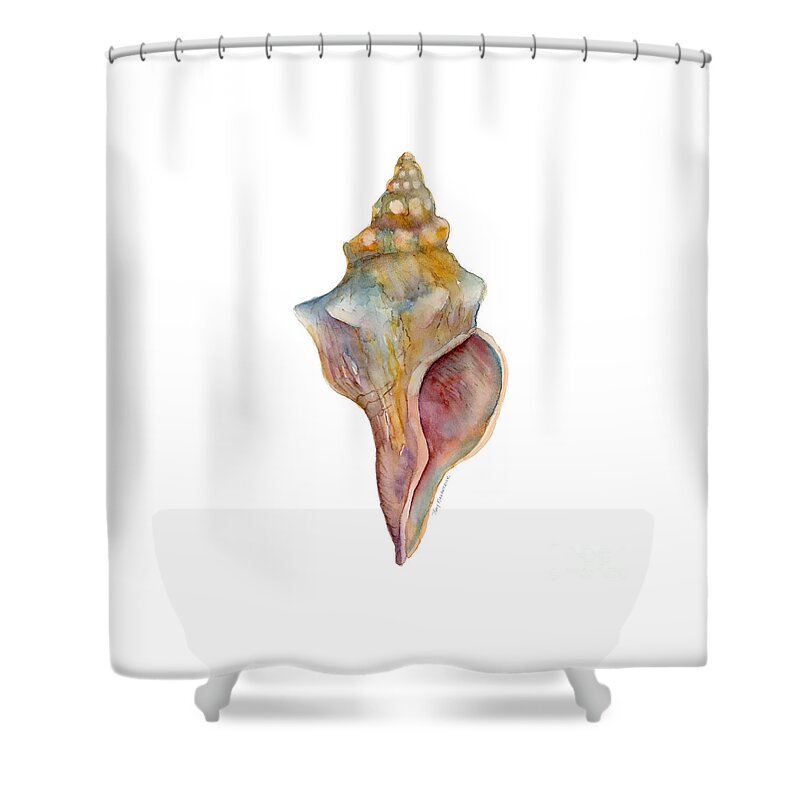Conch Shell Painting Shower Curtain featuring the painting Horse Conch Shell by Amy Kirkpatrick