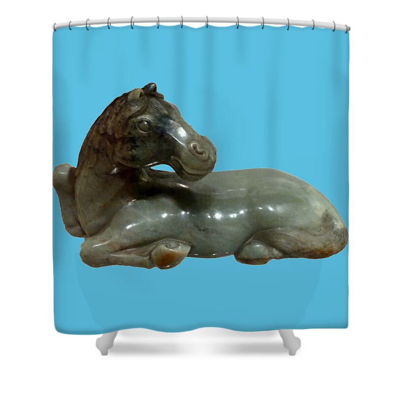 Horse Shower Curtain featuring the photograph Horse figure by Francesca Mackenney
