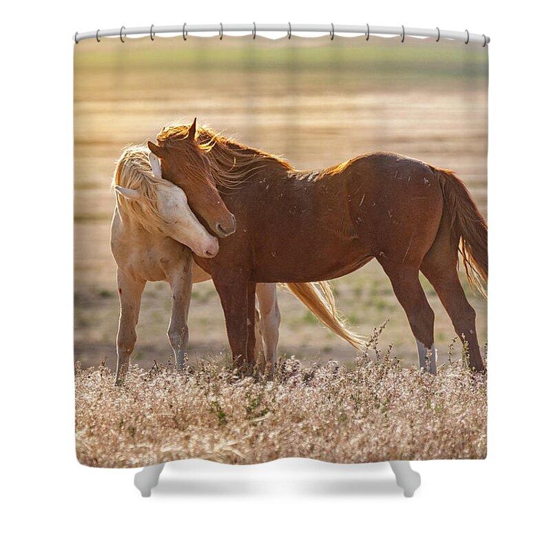 Horses Shower Curtain featuring the photograph Horse Love by Michael Ash