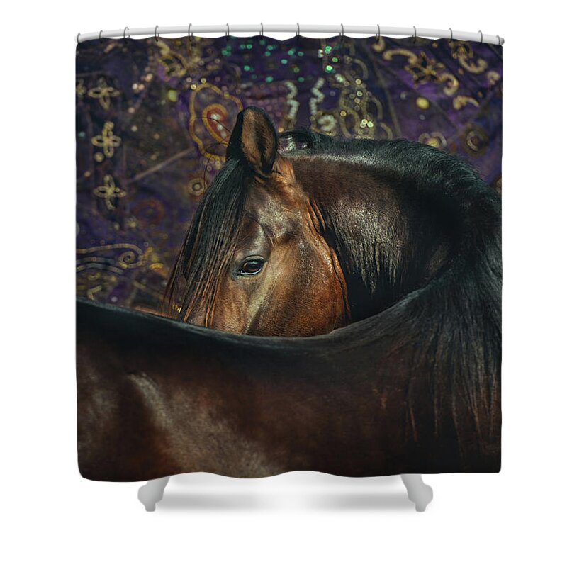 Russian Artists New Wave Shower Curtain featuring the photograph Horse Portrait with Carpet by Ekaterina Druz