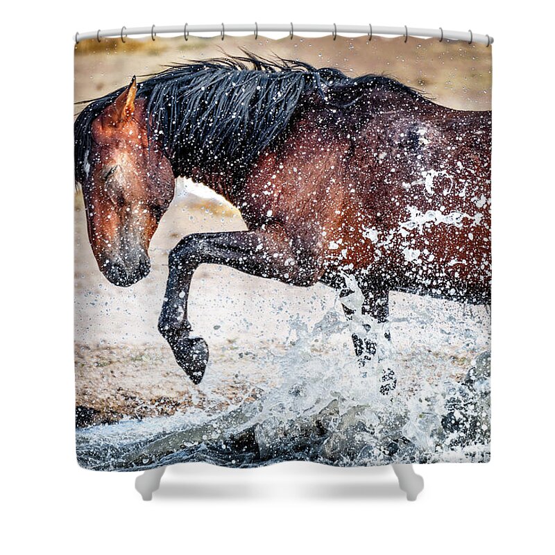 Horse Shower Curtain featuring the photograph Horse Splash by Michael Ash