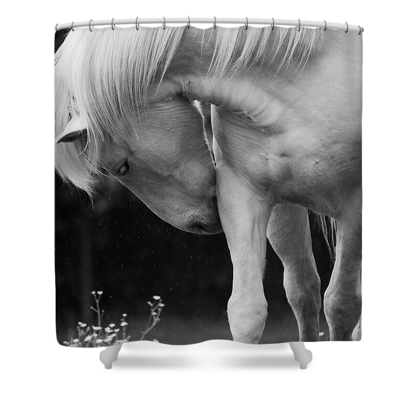 Horse Shower Curtain featuring the photograph Horse with Flowers by Rachel Morrison
