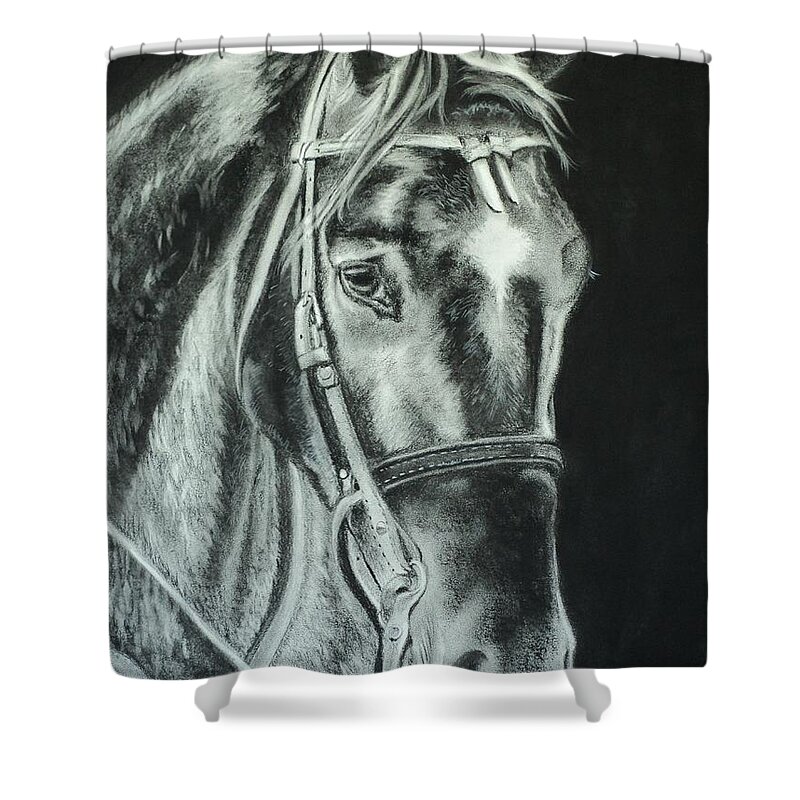 Horse Shower Curtain featuring the drawing Horse with no name by Carla Carson