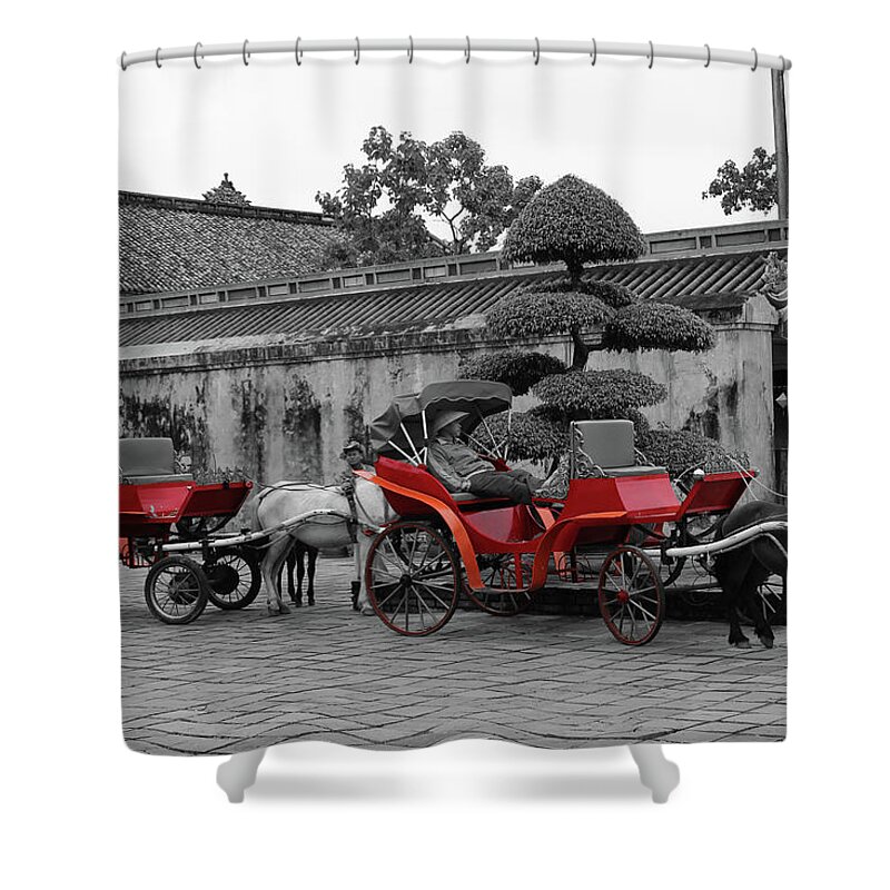 Horse Shower Curtain featuring the photograph Horses and Carriages by Samantha Delory