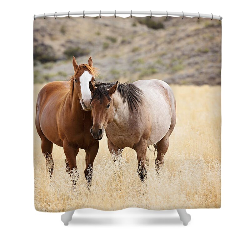 Horse Shower Curtain featuring the photograph Horses by Deborah Penland
