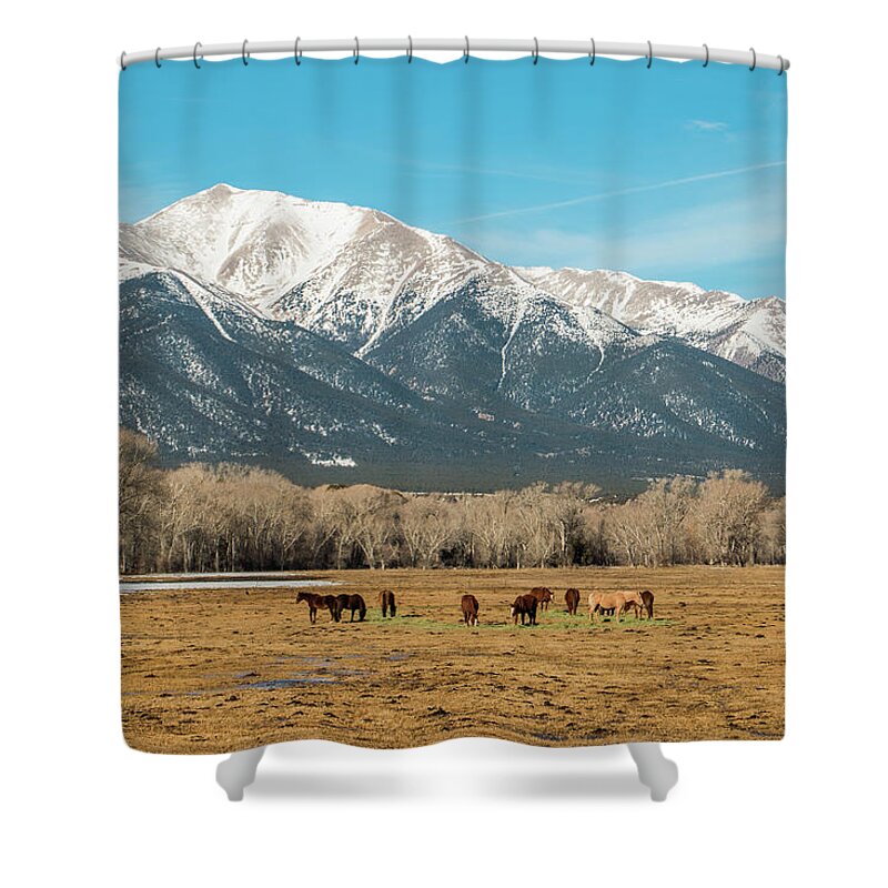 Horses In Colorado Shower Curtain featuring the photograph Horses Grazing Mountain Scene by Edie Ann Mendenhall