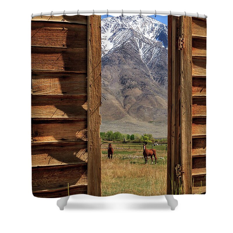 Horses Shower Curtain featuring the photograph Horses Through The Door by James Eddy
