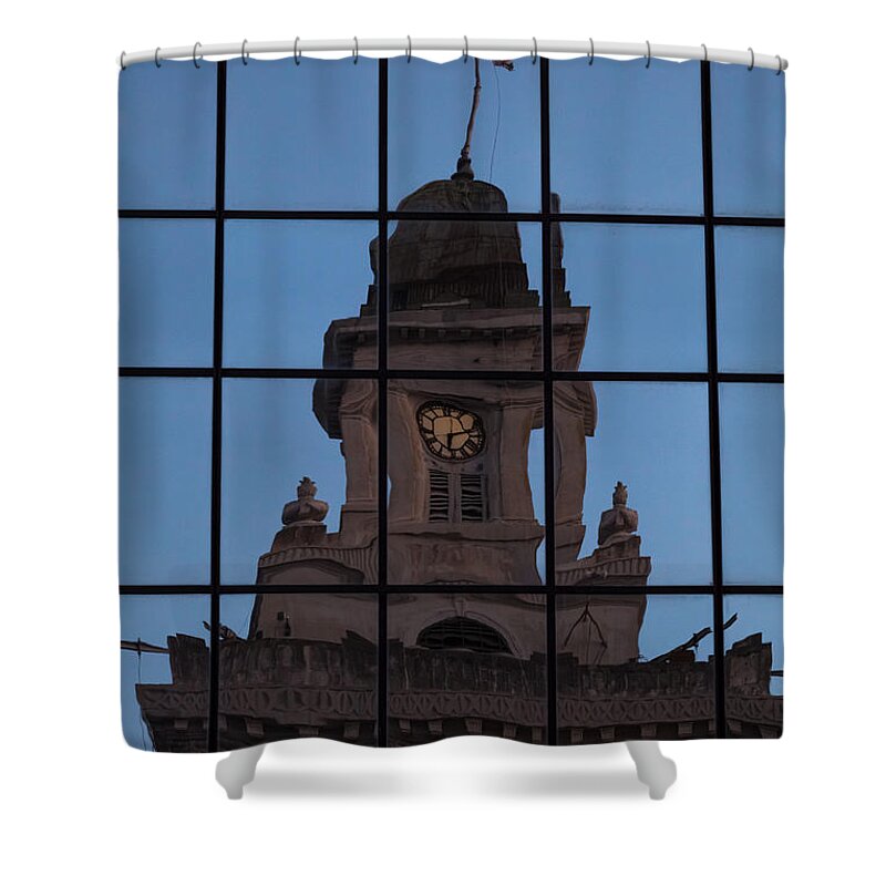City Hall Shower Curtain featuring the photograph Hortense the Beautiful by Ed Gleichman