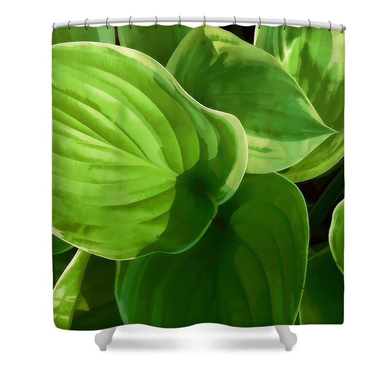 Hosta Shower Curtain featuring the photograph Hosta Summer Green by Ann Powell