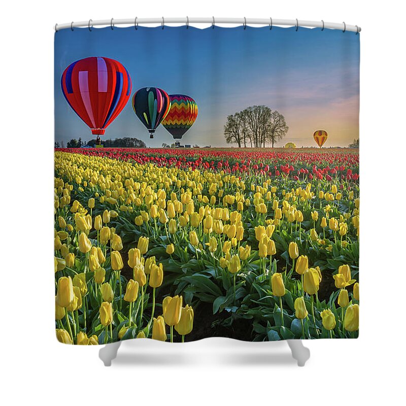 Hot Air Balloons Shower Curtain featuring the photograph Hot air balloons over tulip fields by William Lee
