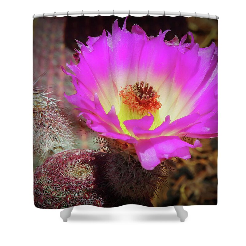 Flowers Shower Curtain featuring the photograph Hot In Pink by Elaine Malott