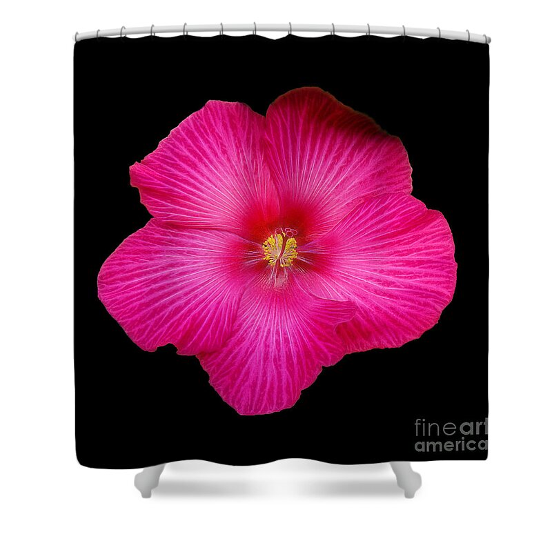 Hibiscus Shower Curtain featuring the photograph Hot Pink Hibiscus by Sue Melvin