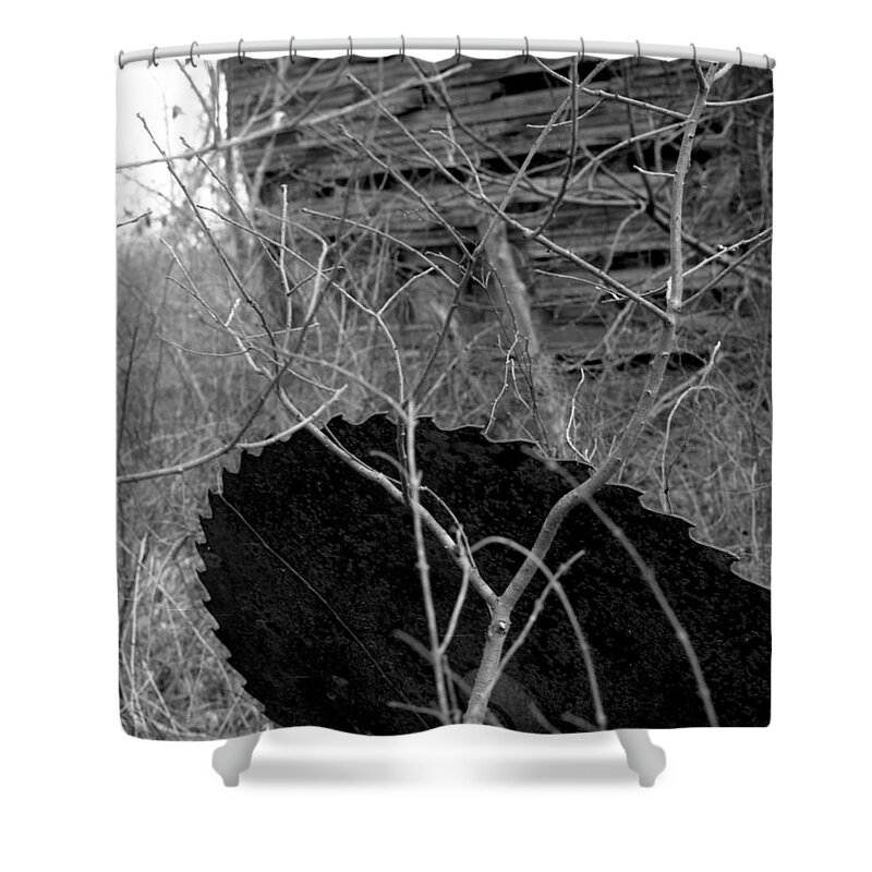 Ansel Adams Shower Curtain featuring the photograph House-saw-old by Curtis J Neeley Jr
