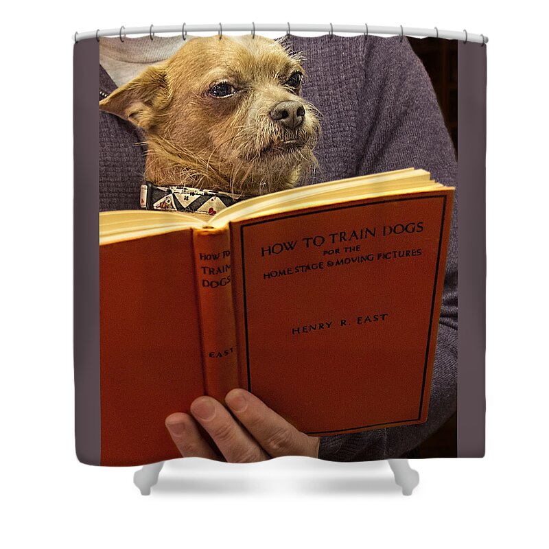 Dog Shower Curtain featuring the photograph How to Train Dogs by Mitch Spence