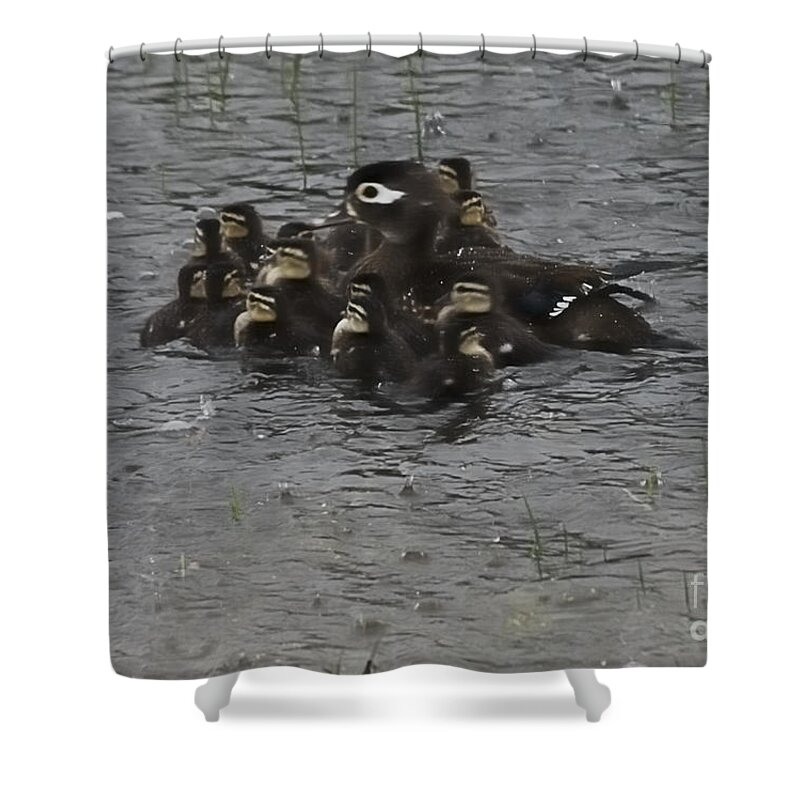 West Virginia Birds Shower Curtain featuring the photograph Huddle by Randy Bodkins