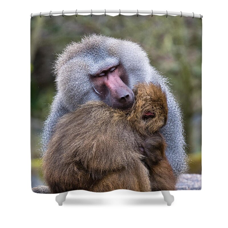 Baboon Shower Curtain featuring the photograph Hug Me by Scott Carruthers
