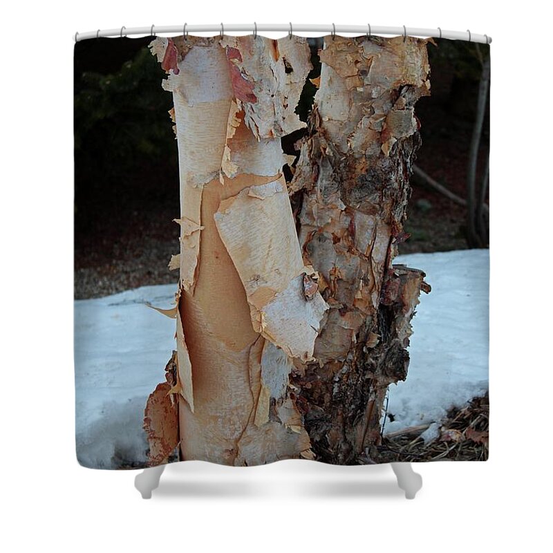 White Shower Curtain featuring the photograph Humble Tatters by Michiale Schneider