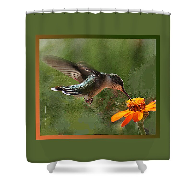 Green Shower Curtain featuring the photograph Hummingbird Art by Suanne Forster