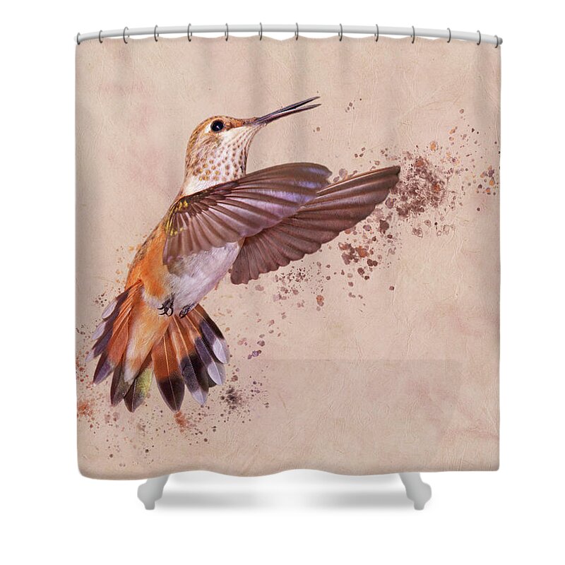 Rufous Hummingbird Shower Curtain featuring the photograph Hummingbird Color Splash I by Leda Robertson