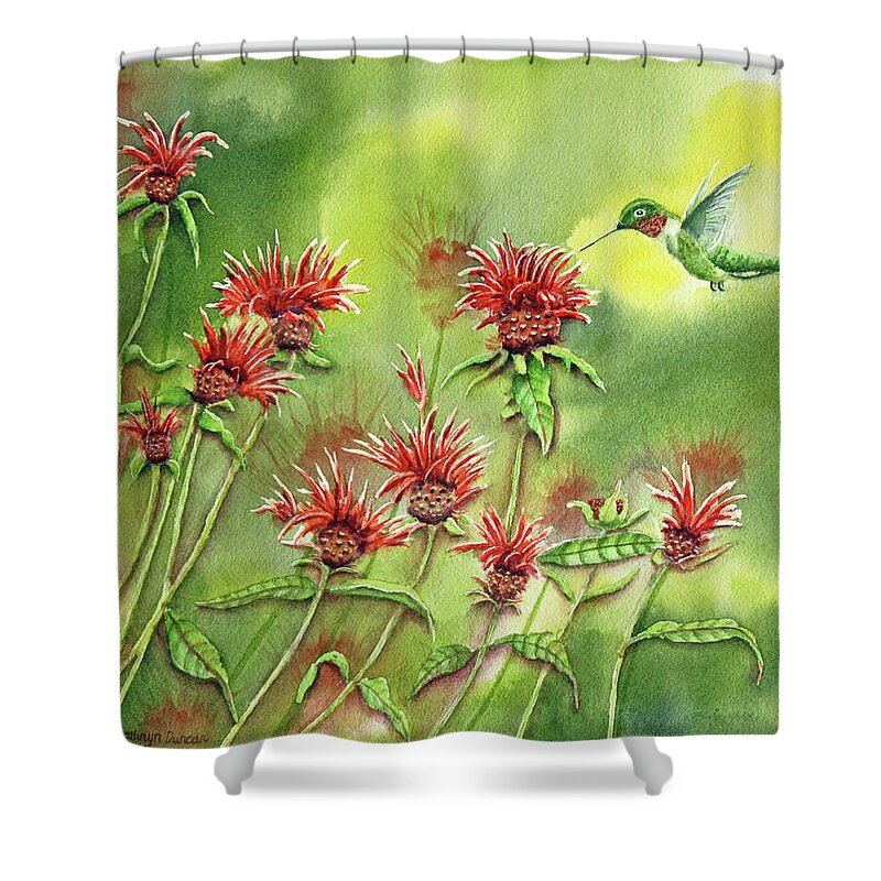 Hummingbird Shower Curtain featuring the painting Hummingbird In Beebalm by Kathryn Duncan